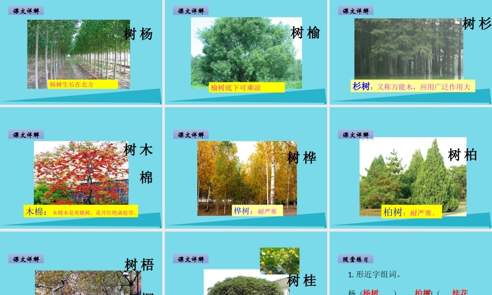 （秋季版）二年级语文上册 第2单元 汉字家园一②课件 长春版-长春版小学二年级上册语文课件