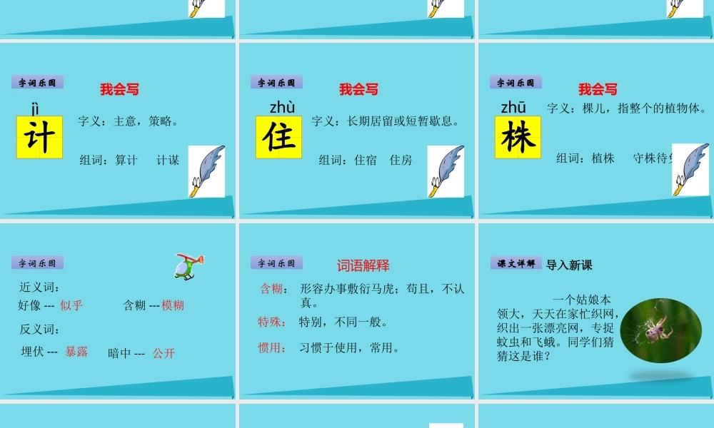 （秋季版）二年级语文上册 第2单元 汉字家园一③蜘蛛课件 长春版-长春版小学二年级上册语文课件
