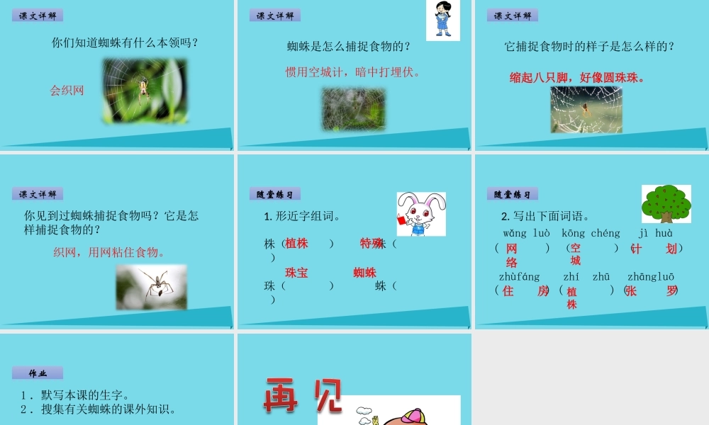 （秋季版）二年级语文上册 第2单元 汉字家园一③蜘蛛课件 长春版-长春版小学二年级上册语文课件