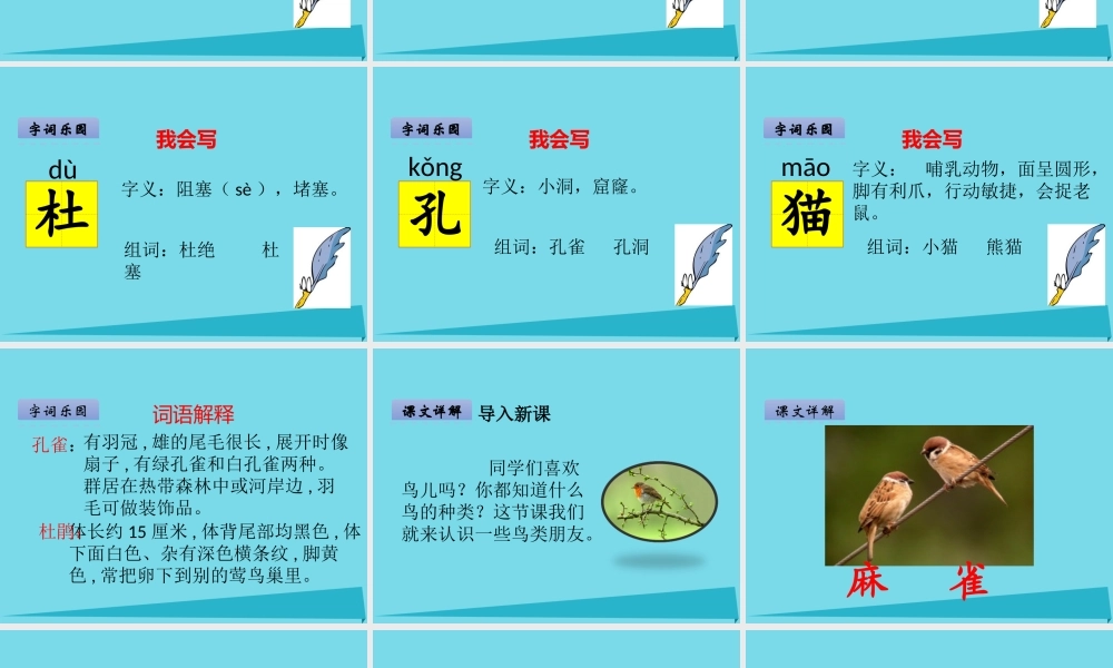 （秋季版）二年级语文上册 第2单元 汉字家园一④鸟的乐园课件 长春版-长春版小学二年级上册语文课件
