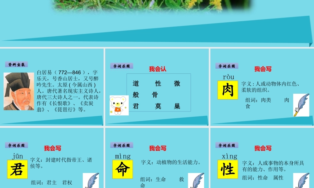 （秋季版）二年级语文上册 第3单元 鸟课件1 长春版-长春版小学二年级上册语文课件