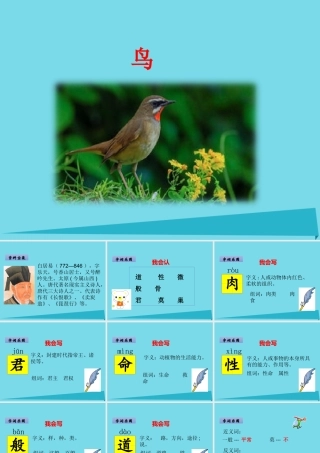 （秋季版）二年级语文上册 第3单元 鸟课件1 长春版-长春版小学二年级上册语文课件