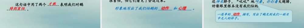 秋四年级语文上册 第六单元 18 牛和鹅教学课件 新人教版-新人教级上册语文课件