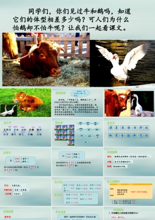 秋四年级语文上册 第六单元 18 牛和鹅教学课件 新人教版-新人教级上册语文课件