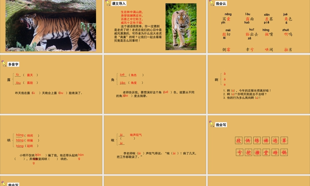 秋四年级语文上册 第六单元 19 一只窝囊的大老虎教学课件 新人教版-新人教版小学四年级上册语文课件