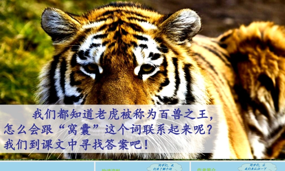 秋四年级语文上册 第六单元 19 一只窝囊的大老虎教学课件 新人教版-新人教级上册语文课件