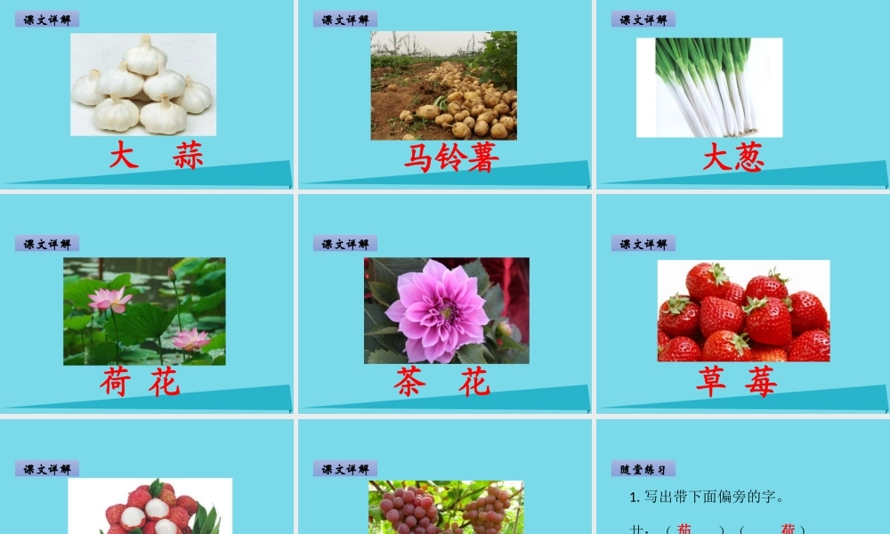 （秋季版）二年级语文上册 第5单元 汉字家园二-①课件 长春版-长春版小学二年级上册语文课件