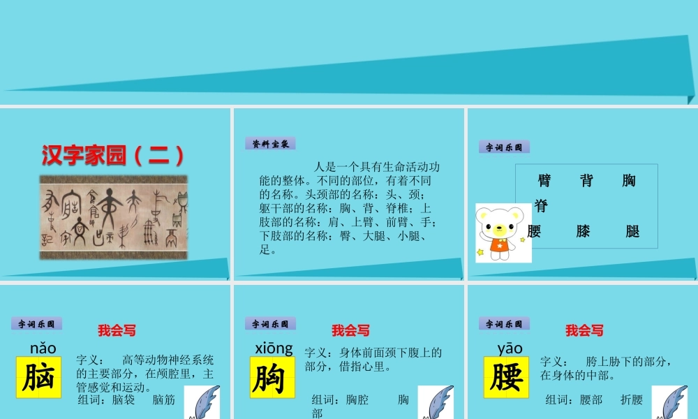 （秋季版）二年级语文上册 第5单元 汉字家园二-②课件 长春版-长春版小学二年级上册语文课件