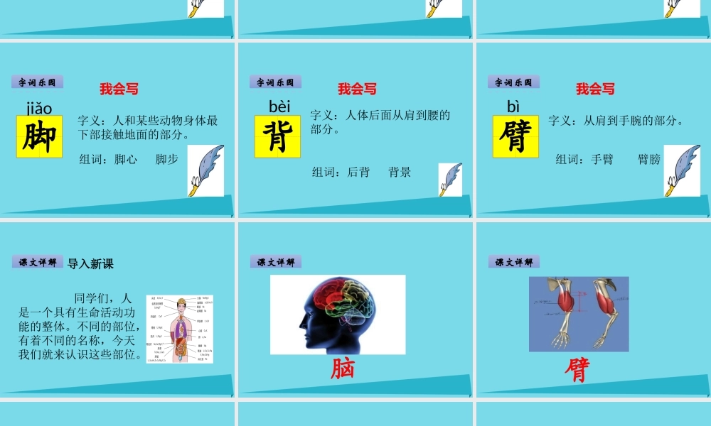 （秋季版）二年级语文上册 第5单元 汉字家园二-②课件 长春版-长春版小学二年级上册语文课件