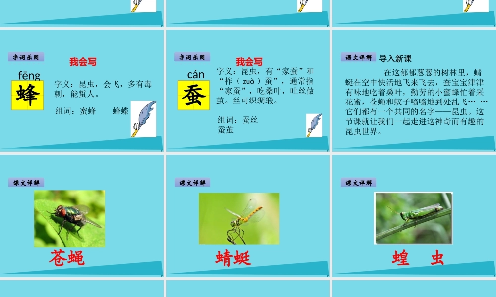 （秋季版）二年级语文上册 第5单元 汉字家园二-⑤昆虫世界课件 长春版-长春版小学二年级上册语文课件