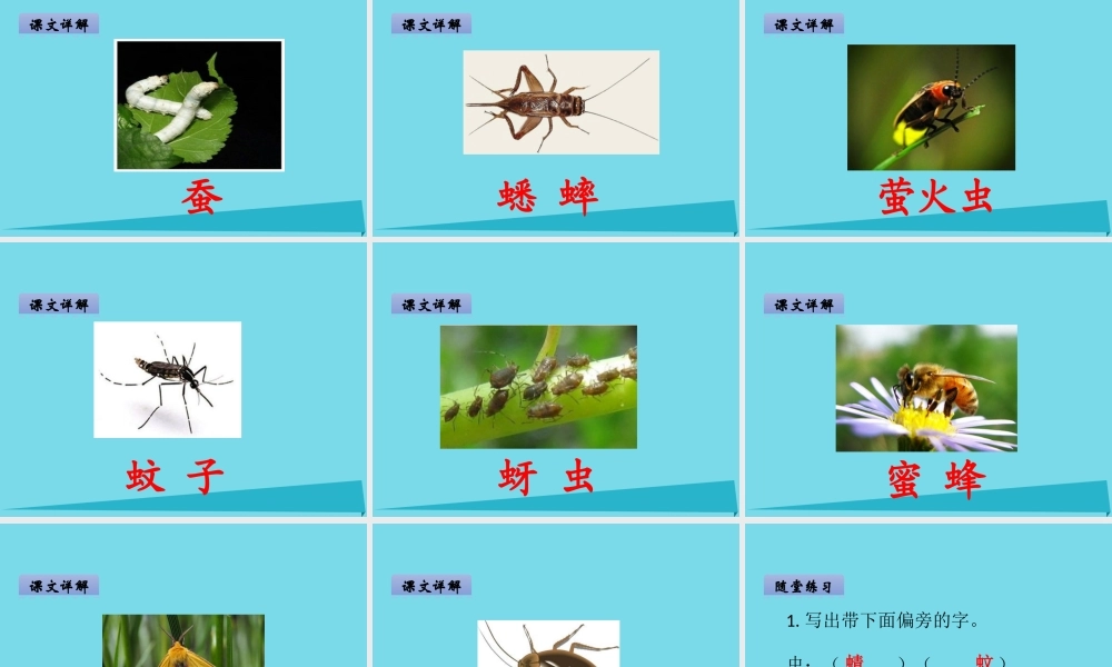 （秋季版）二年级语文上册 第5单元 汉字家园二-⑤昆虫世界课件 长春版-长春版小学二年级上册语文课件