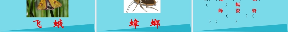 （秋季版）二年级语文上册 第5单元 汉字家园二-⑤昆虫世界课件 长春版-长春版小学二年级上册语文课件