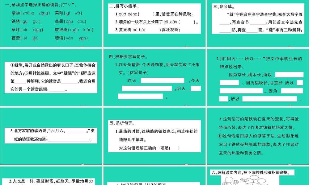 （广东地区）六年级语文上册 第五单元 15 夏天里的成长作业课件 新人教版-新人教版小学六年级上册语文课件