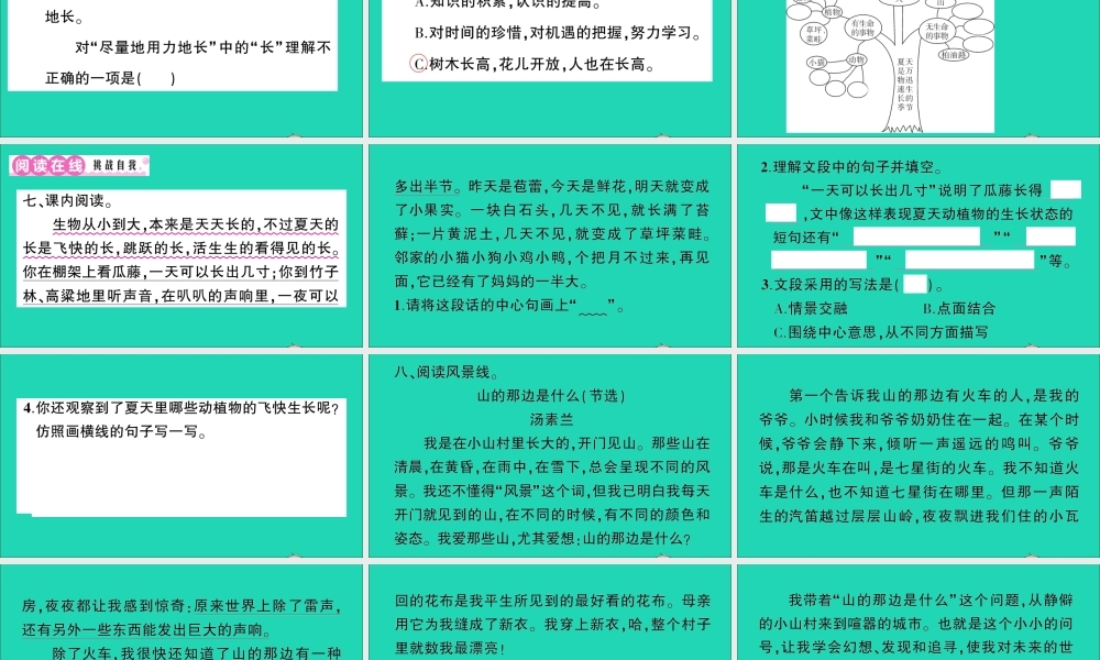 （广东地区）六年级语文上册 第五单元 15 夏天里的成长作业课件 新人教版-新人教版小学六年级上册语文课件