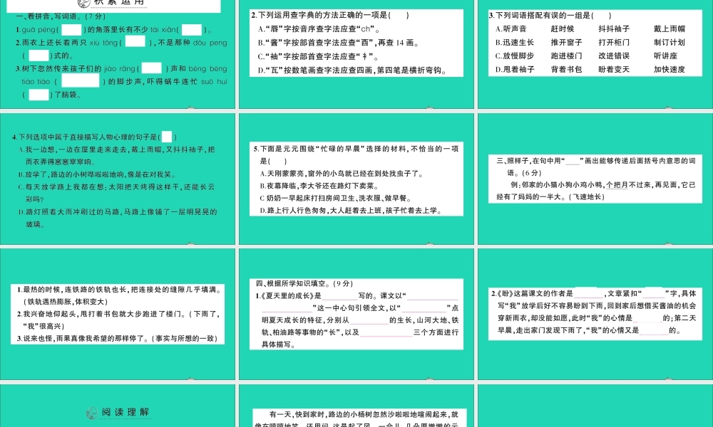 （广东地区）六年级语文上册 第五单元测试课件 新人教版-新人教版小学六年级上册语文课件