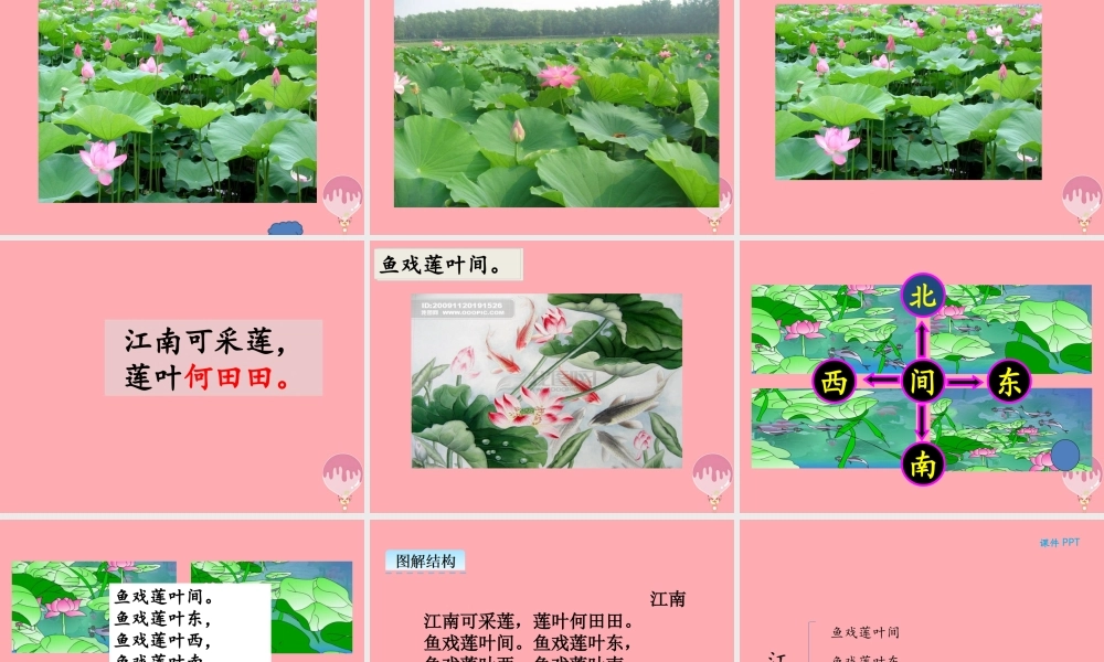 （秋季版）一年级语文上册 第3课 江南课件 新人教版-新人教版小学一年级上册语文课件