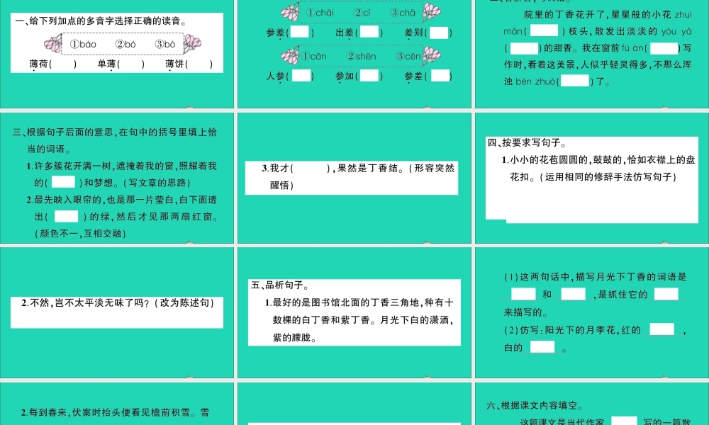 （广东地区）六年级语文上册 第一单元 2 丁香结作业课件  新人教版-新人教版小学六年级上册语文课件