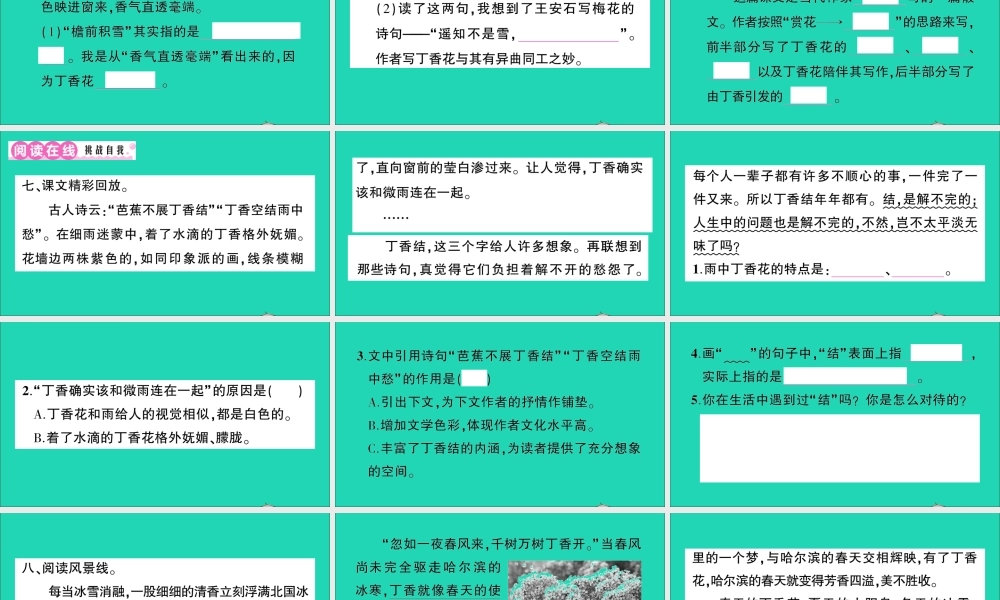 （广东地区）六年级语文上册 第一单元 2 丁香结作业课件  新人教版-新人教版小学六年级上册语文课件