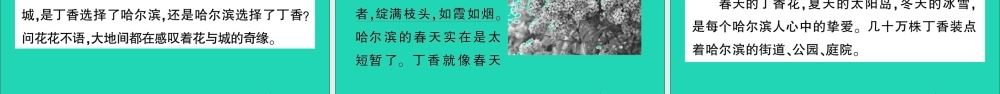 （广东地区）六年级语文上册 第一单元 2 丁香结作业课件  新人教版-新人教版小学六年级上册语文课件