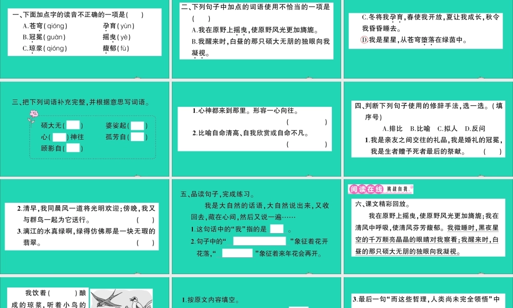 （广东地区）六年级语文上册 第一单元 4 花之歌作业课件  新人教版-新人教版小学六年级上册语文课件