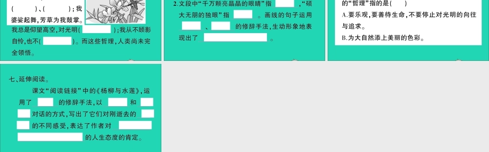 （广东地区）六年级语文上册 第一单元 4 花之歌作业课件  新人教版-新人教版小学六年级上册语文课件