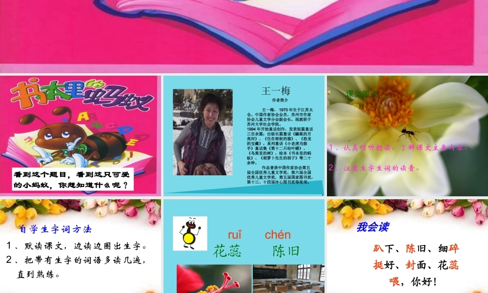 （秋季版）二年级语文上册 第6单元 书里的蚂蚁课件2 长春版-长春版小学二年级上册语文课件