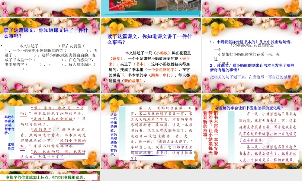 （秋季版）二年级语文上册 第6单元 书里的蚂蚁课件2 长春版-长春版小学二年级上册语文课件