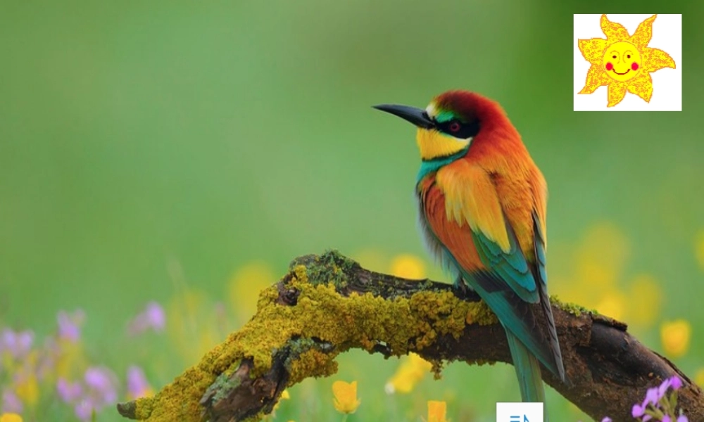 （秋季版）一年级语文上册 第3课 山青青课件1 冀教版-冀教版小学一年级上册语文课件