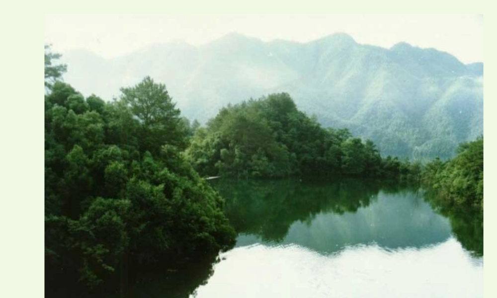 （秋季版）一年级语文上册 第4课 江南课件 冀教版-冀教版小学一年级上册语文课件