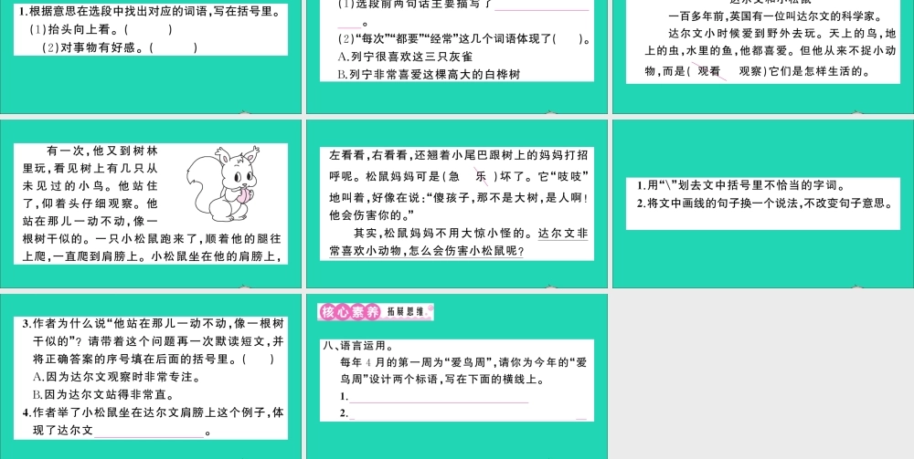 （广东地区）三年级语文上册 第八单元 26 灰雀作业课件 新人教版-新人教版小学三年级上册语文课件