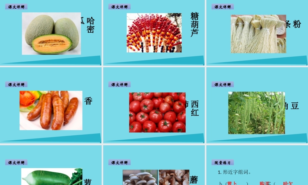 （秋季版）二年级语文上册 第8单元 农贸市场课件1 长春版-长春版小学二年级上册语文课件