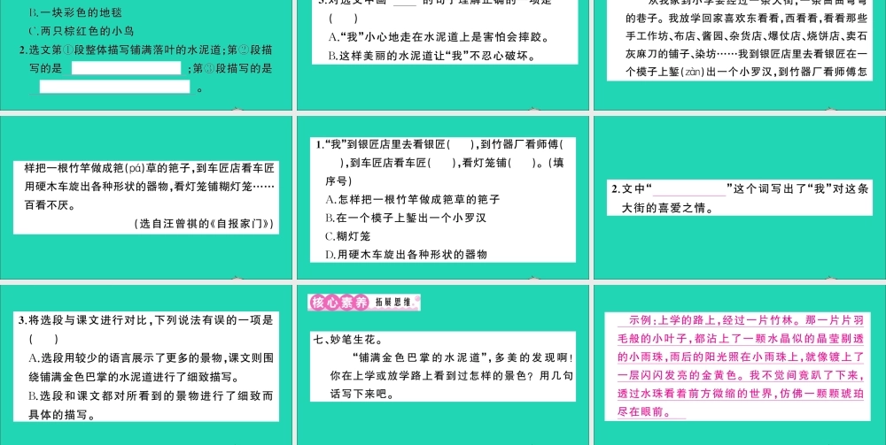 （广东地区）三年级语文上册 第二单元 5 铺满金色巴掌的水泥道作业课件 新人教版-新人教版小学三年级上册语文课件