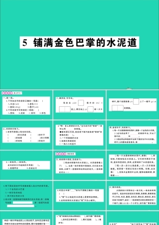 （广东地区）三年级语文上册 第二单元 5 铺满金色巴掌的水泥道作业课件 新人教版-新人教版小学三年级上册语文课件