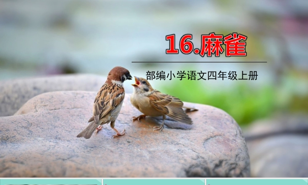 秋四年级语文上册 第五单元 16 麻雀教学课件 新人教版-新人教版小学四年级上册语文课件