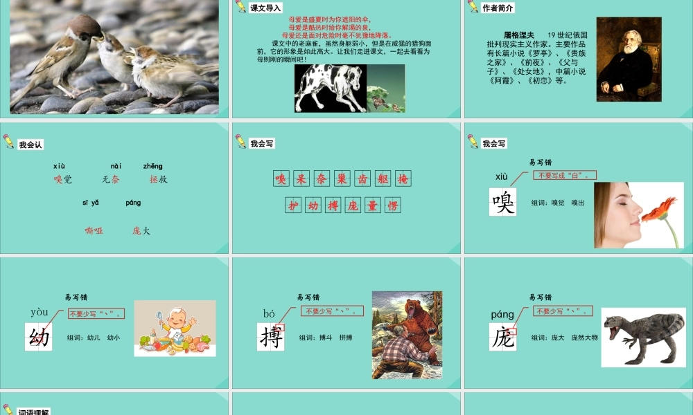 秋四年级语文上册 第五单元 16 麻雀教学课件 新人教版-新人教版小学四年级上册语文课件