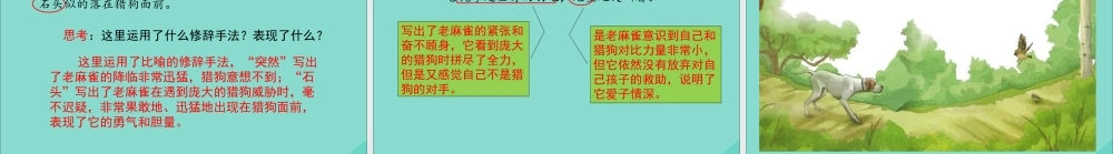 秋四年级语文上册 第五单元 16 麻雀教学课件 新人教版-新人教版小学四年级上册语文课件
