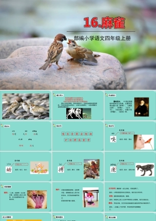 秋四年级语文上册 第五单元 16 麻雀教学课件 新人教版-新人教版小学四年级上册语文课件