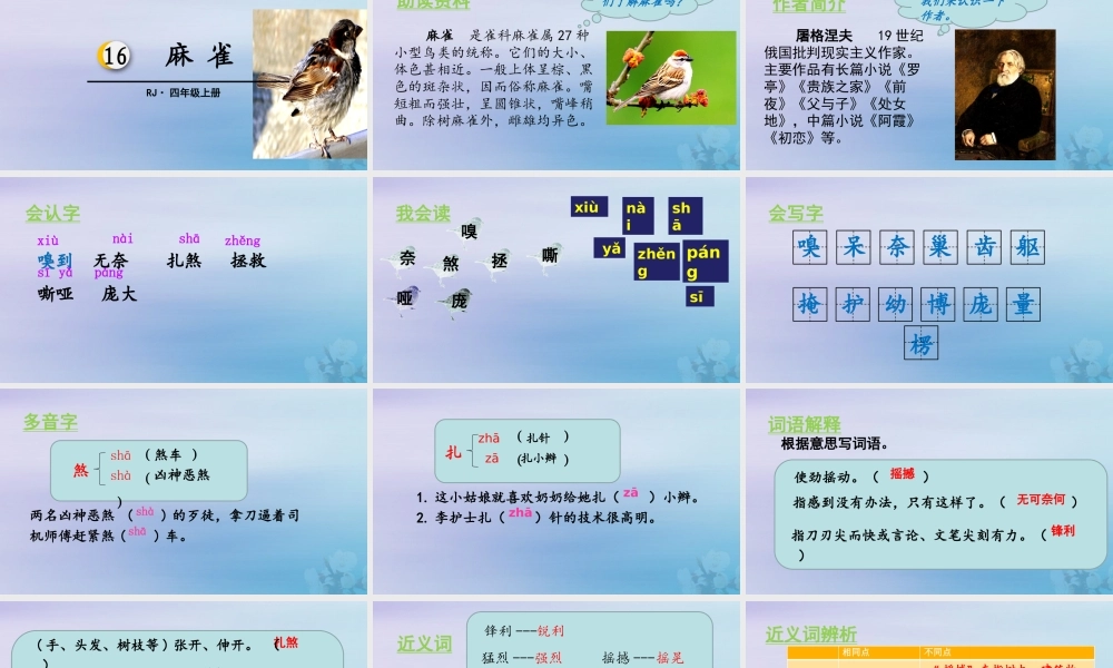 秋四年级语文上册 第五单元 16 麻雀教学课件 新人教版-新人教级上册语文课件