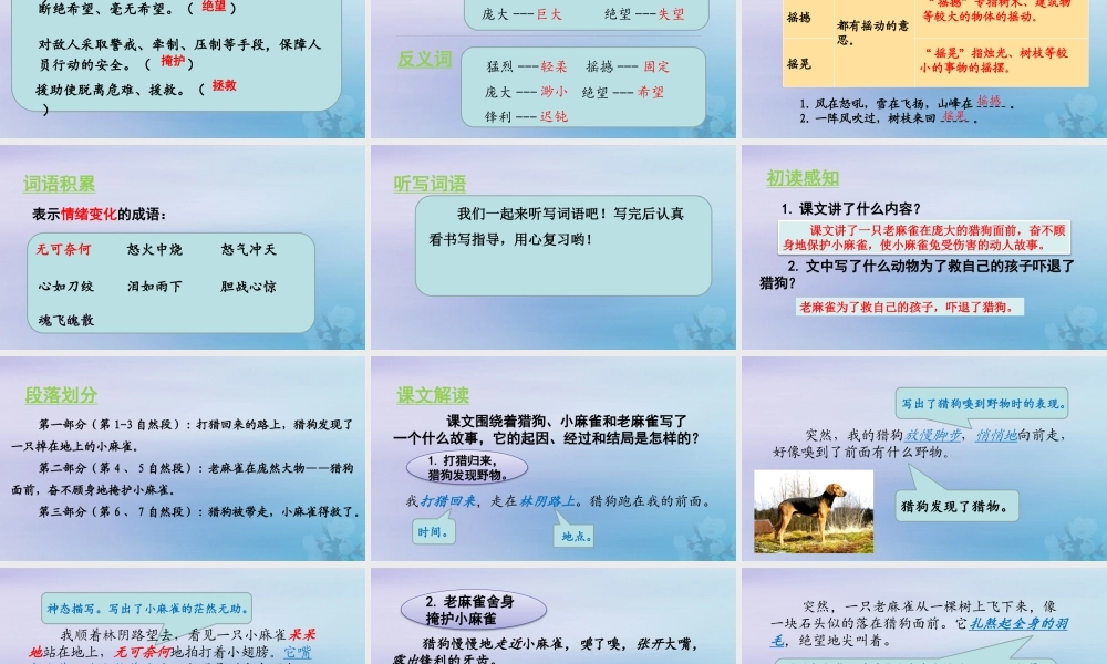 秋四年级语文上册 第五单元 16 麻雀教学课件 新人教版-新人教级上册语文课件