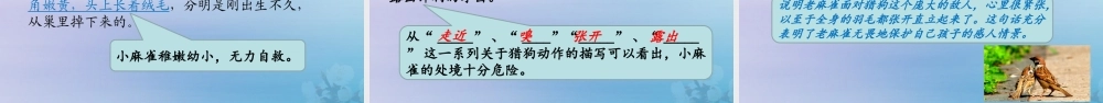 秋四年级语文上册 第五单元 16 麻雀教学课件 新人教版-新人教级上册语文课件