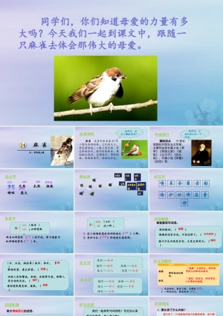 秋四年级语文上册 第五单元 16 麻雀教学课件 新人教版-新人教级上册语文课件