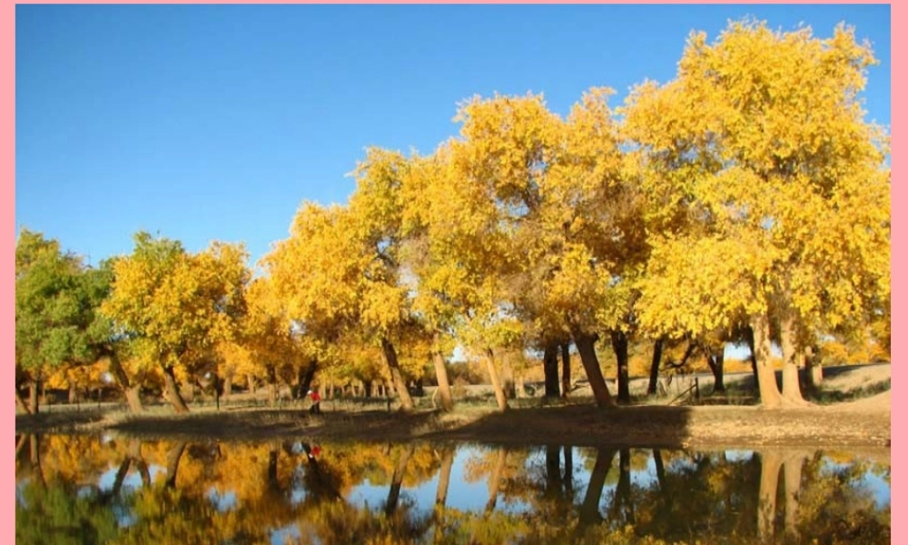 （秋季版）二年级语文上册 第二单元 识字 1课件1 湘教版-湘教版小学二年级上册语文课件