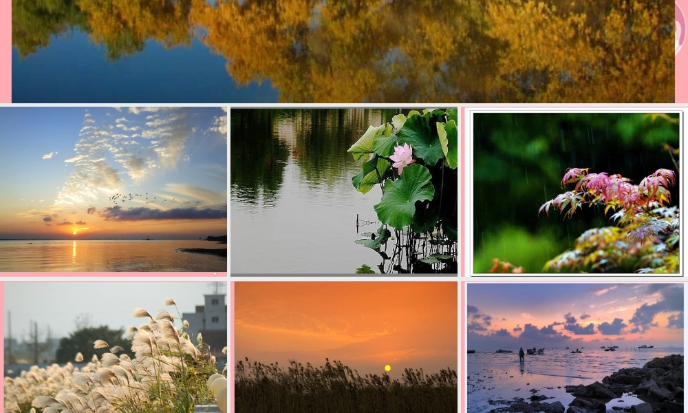 （秋季版）二年级语文上册 第二单元 识字 1课件1 湘教版-湘教版小学二年级上册语文课件