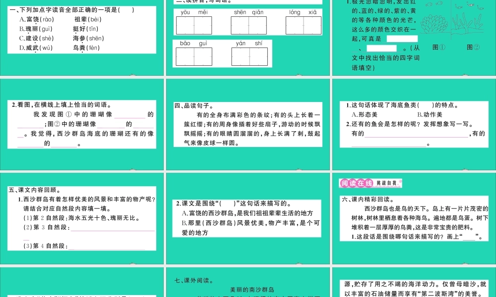 （广东地区）三年级语文上册 第六单元 18 富饶的西沙群岛作业课件 新人教版-新人教版小学三年级上册语文课件