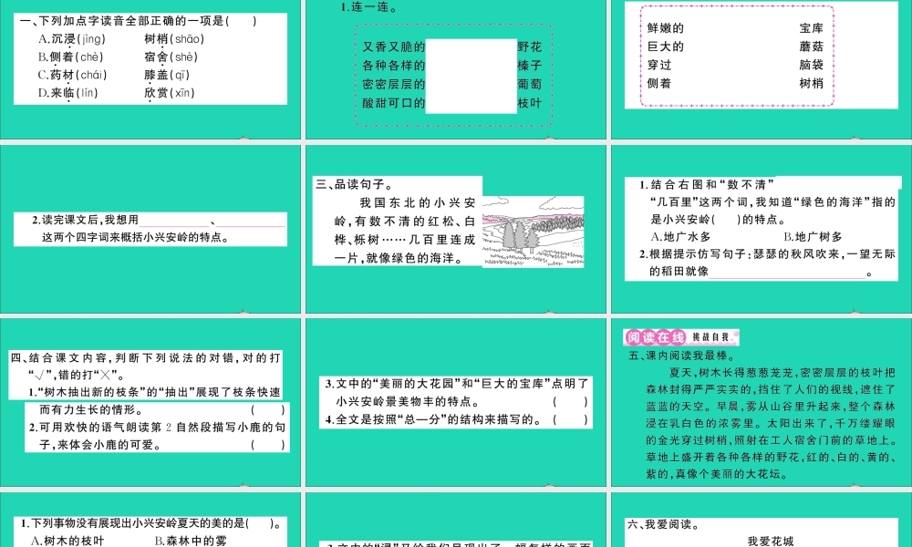 （广东地区）三年级语文上册 第六单元 20 美丽的小兴安岭作业课件 新人教版-新人教版小学三年级上册语文课件