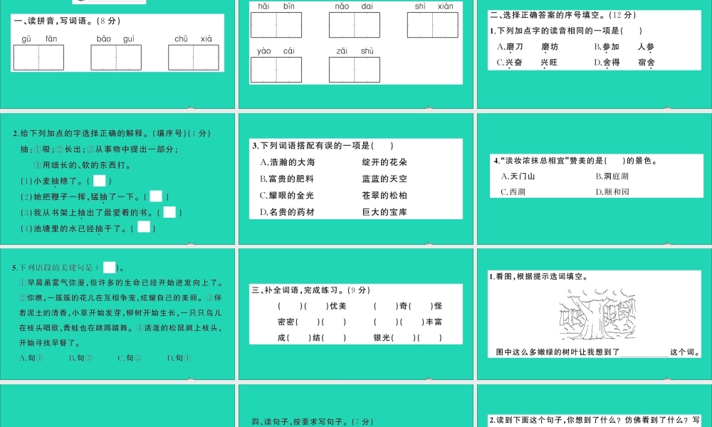 （广东地区）三年级语文上册 第六单元测试课件 新人教版-新人教版小学三年级上册语文课件