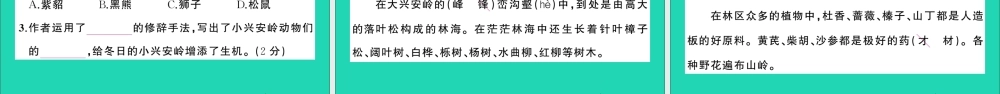 （广东地区）三年级语文上册 第六单元测试课件 新人教版-新人教版小学三年级上册语文课件