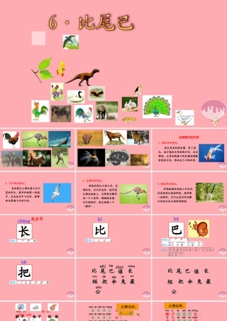 （秋季版）一年级语文上册 第6课 比尾巴课件 新人教版-新人教版小学一年级上册语文课件