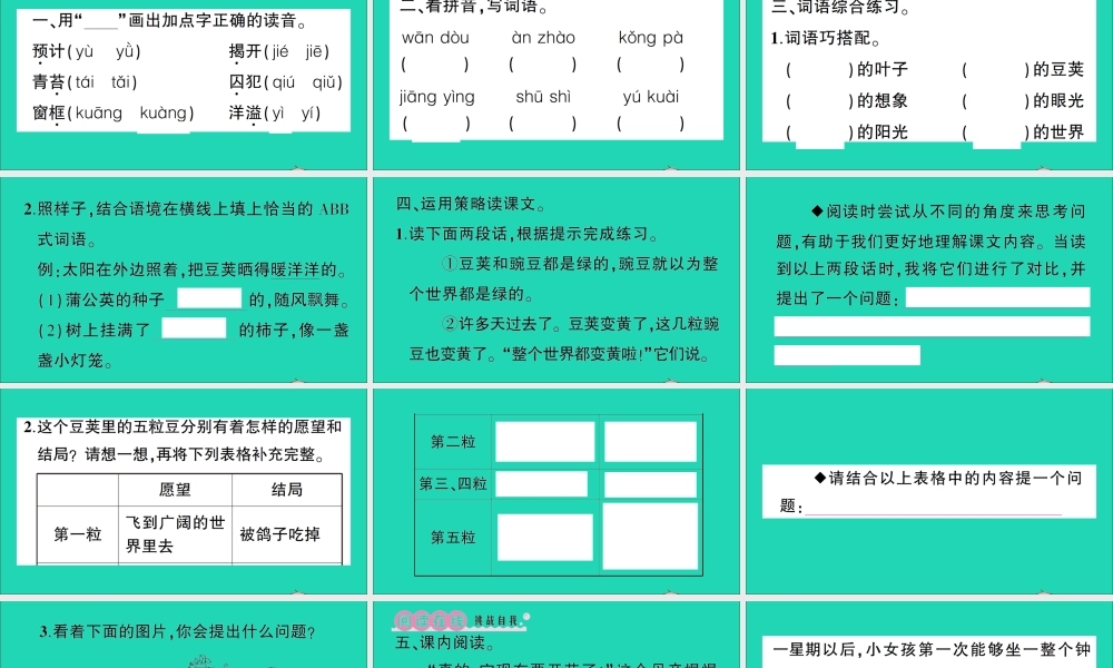 （广东地区）四年级语文上册 第二单元 5 一个豆荚里的五粒豆作业课件 新人教版-新人教版小学四年级上册语文课件