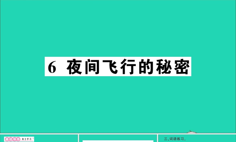 （广东地区）四年级语文上册 第二单元 6 夜间飞行的秘密作业课件 新人教版-新人教版小学四年级上册语文课件